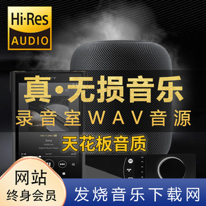 精选Hi-Res无损音乐 DSD音源 WAV母带下载 发烧HiFi网站终身会员