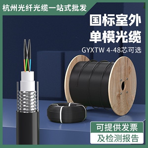 4芯光缆光纤线室外铠装光缆4芯6芯8芯12芯通信光缆四芯光纤8.0国
