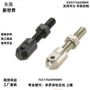 VSS01/02/11/21--40/50/60/80 STRT40 链条连接杆(单件) 螺栓LSRC
