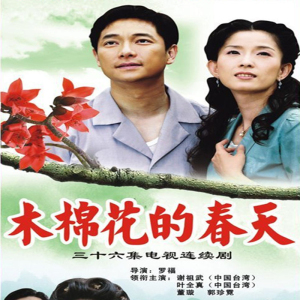 木棉花的春天dvd碟片 台湾琼瑶爱情电视连续剧光盘光盘/谢祖武