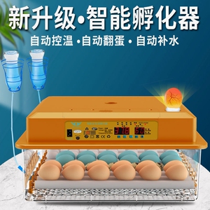 孵小鸡的孵化器家用小型智能