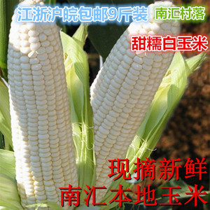 上海南汇本地人农家新鲜甜糯白玉米 珍珠米棒带壳9斤非崇明