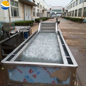 肉丸子速冻后挂冰流水线鱼类水产品挂冰设备海鲜类自动挂冰机