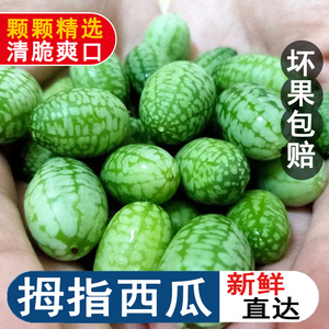 90tb61107169795淘宝特色水果拇指西瓜新鲜果250g迷你网红母子小瓜