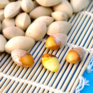 新鲜生大白果生银杏果老树野生白果子2.5斤/5斤果仁中药材可磨粉