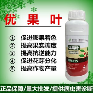 优果叶快速膨大果实靓果着色绿叶果实糖度含氨基酸水溶叶面肥