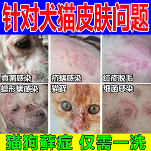 376人付款淘宝齐鲁动保绿安康消毒粉猫狗抑菌消毒除臭宠物专用细小