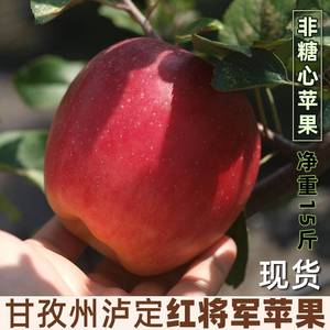 红将军红苹果四川省甘孜州泸定康定高山时令新鲜水果16斤
