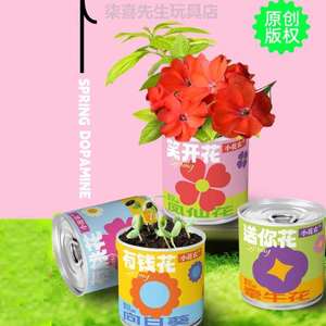 小儿童种植植物凤仙花绿植盆栽创意桌面室内办公室礼物罐头向日葵