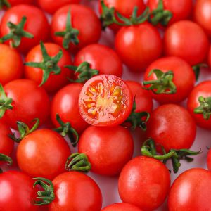 广东电白千禧5斤新鲜樱桃小番茄釜山88号玲珑圣女果孕妇水果顺丰