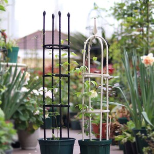 昙花专用支架花架子爬藤客厅阳台多层特价室内外大型铁艺葡萄花盆
