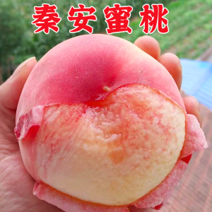 2022年甘肃天水秦安水蜜桃脆甜可剥皮正宗秦安桃子新鲜现摘
