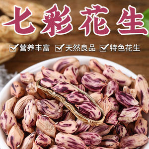 速果水果专营店天猫2021新云南七彩花生新鲜带壳晒干生熟彩色花生