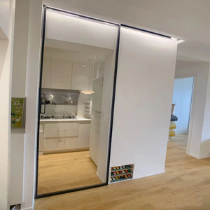 定制窄边单扇推拉门钛镁铝合金卫生间长虹玻璃隔断厨房无下轨移门