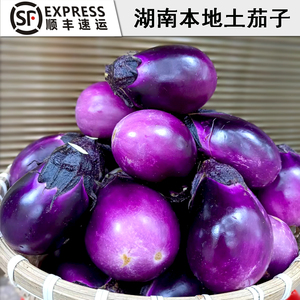 000人付款淘宝江西本地茄子新鲜紫色圆茄子现摘农家种植老式茄子应季