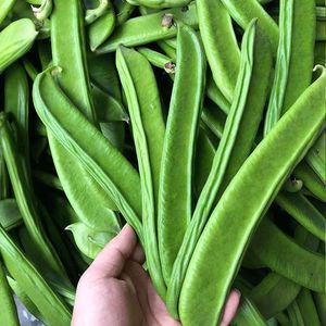 新鲜板豆大扁豆农家小菜园自种剁辣椒刀豆5斤顺丰湖南郴州