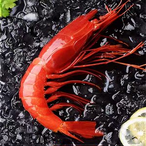 红魔虾鲜活速冻刺身级特大非莫桑比克西班牙红魔虾绯红虾生腌大虾