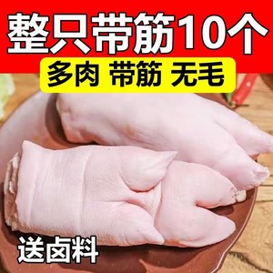 现杀带筋土猪蹄10只新鲜整只农家散养猪蹄子猪手前蹄猪脚烧烤商用