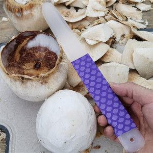 兰妹子椰子蛋软刀椰子开口器椰子刀取椰肉神器椰肉刨开椰子蛋工具