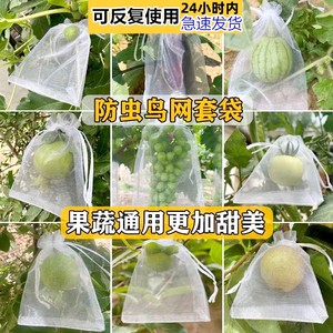 水果防虫防鸟套袋保护番茄草莓套袋子双抽绳束口纱袋蔬果收纳袋子