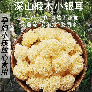 银耳干货云南深山椴木小花银耳莲子羹野生无熏硫粘糯易煮多胶500g