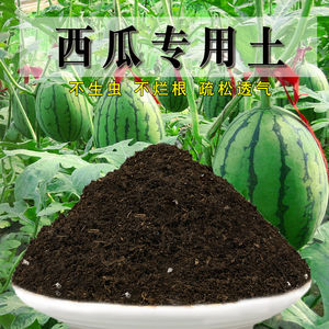西瓜专用土西瓜土有机肥料改良土壤通用水果土种植土透气配方泥土