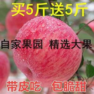 2021年陕西冰糖心红富士苹果水果新鲜现摘现发装脆香甜不打蜡10斤