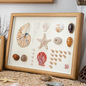 贝壳相框diy天然贝壳标本海螺手工装裱制作展示摆台家居装饰立体
