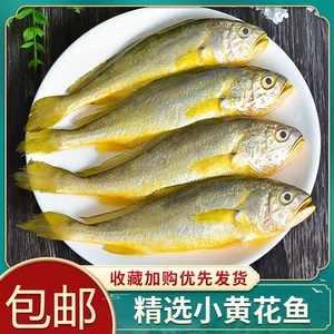 5斤小黄花鱼新鲜冷冻烧烤小黄鱼海鲜生鲜活海鱼海鲜整箱商用批发