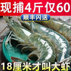 青岛大虾鲜活速冻超大海捕大虾大清虾对虾白虾基围虾速冻海鲜