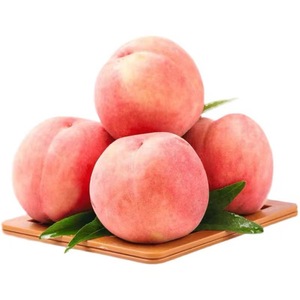 新鲜水蜜桃桃子蒙阴蜜桃现摘现发应季孕妇当季水果脆甜毛桃5斤10