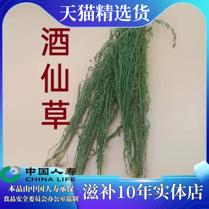 祥进春淘宝酒仙草种子九龙草珍珠草小星宿草野生绿