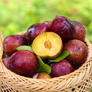 四川脱骨李子茵红李孕妇新鲜水果半边红甜脆李当季整箱特大果现货