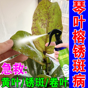 琴叶榕肥料锈斑病专用营养液纯土壤家用养花盆栽通用绿植药氮磷钾