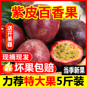现摘云南百香果紫皮紫香果特大果新鲜水果酸甜多汁鸡蛋果市场批发