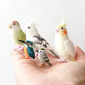 手工羊毛毡玄凤鹦鹉玩偶公仔 仿真动物玩具礼物羊毛毡戳戳乐成品