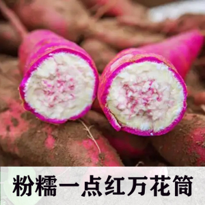 阳江土特产一点红冰淇淋番薯沙地种植香甜地瓜粉糯紫心红薯包邮