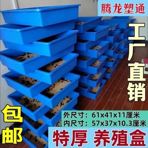 蛋白虫养殖盒面包虫黄粉虫养殖框养虫工具周转箱零件盒工厂直销