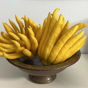 金华佛手新鲜现摘食用佛手果佛手瓜佛手柑鲜果香橼清供观赏把玩泡