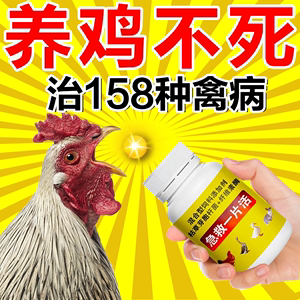 禽用鸡药片救禽一片活鸡鸭鹅鸽子饲料添加剂流感发烧黄白痢呼吸道