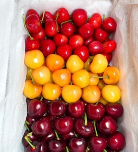 车厘子东北包邮