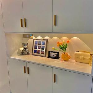 抖音同款玄关灯