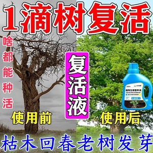 生根剂药水大树复活营养液枯树再生果树木移栽花卉植物扦插通用型