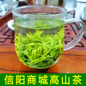 绿茶2024新茶信阳毛尖商城高山野茶一芽一叶春茶浓香型散装500g