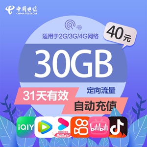 湖南电信 大视频定向流量包 30GB 31天含优酷抖音爱奇艺