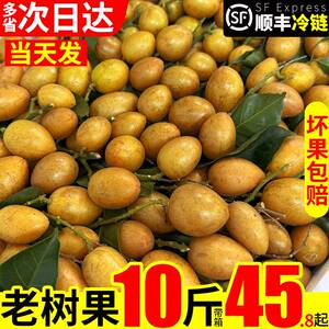 顺丰可选10斤广东鸡心黄皮果新鲜冷冻现发酸甜黄弹子当季水果孕妇