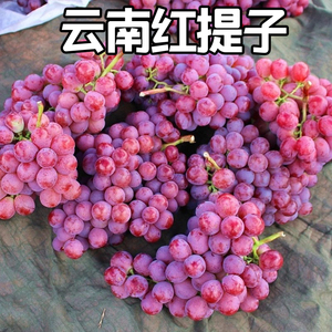 云南高原葡萄大理宾川新鲜红提4斤装整箱提子当季新鲜水果现货