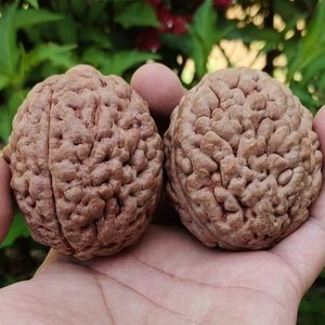 印尼三瓣大金刚原生态红皮脑纹大金刚手球手捻保健球大金刚满脑纹