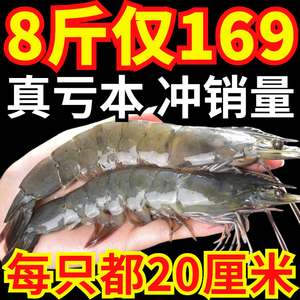 大虾鲜活超大基围虾新鲜速冻海鲜水产青岛海捕白虾对虾大海虾8斤