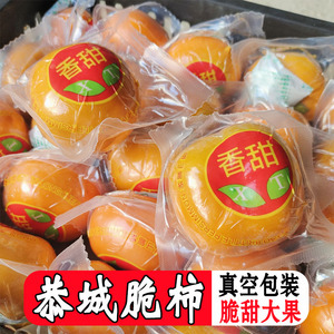脆柿子新鲜大果水果真空独立包装巧克力脆皮甜硬10斤广西桂林恭城